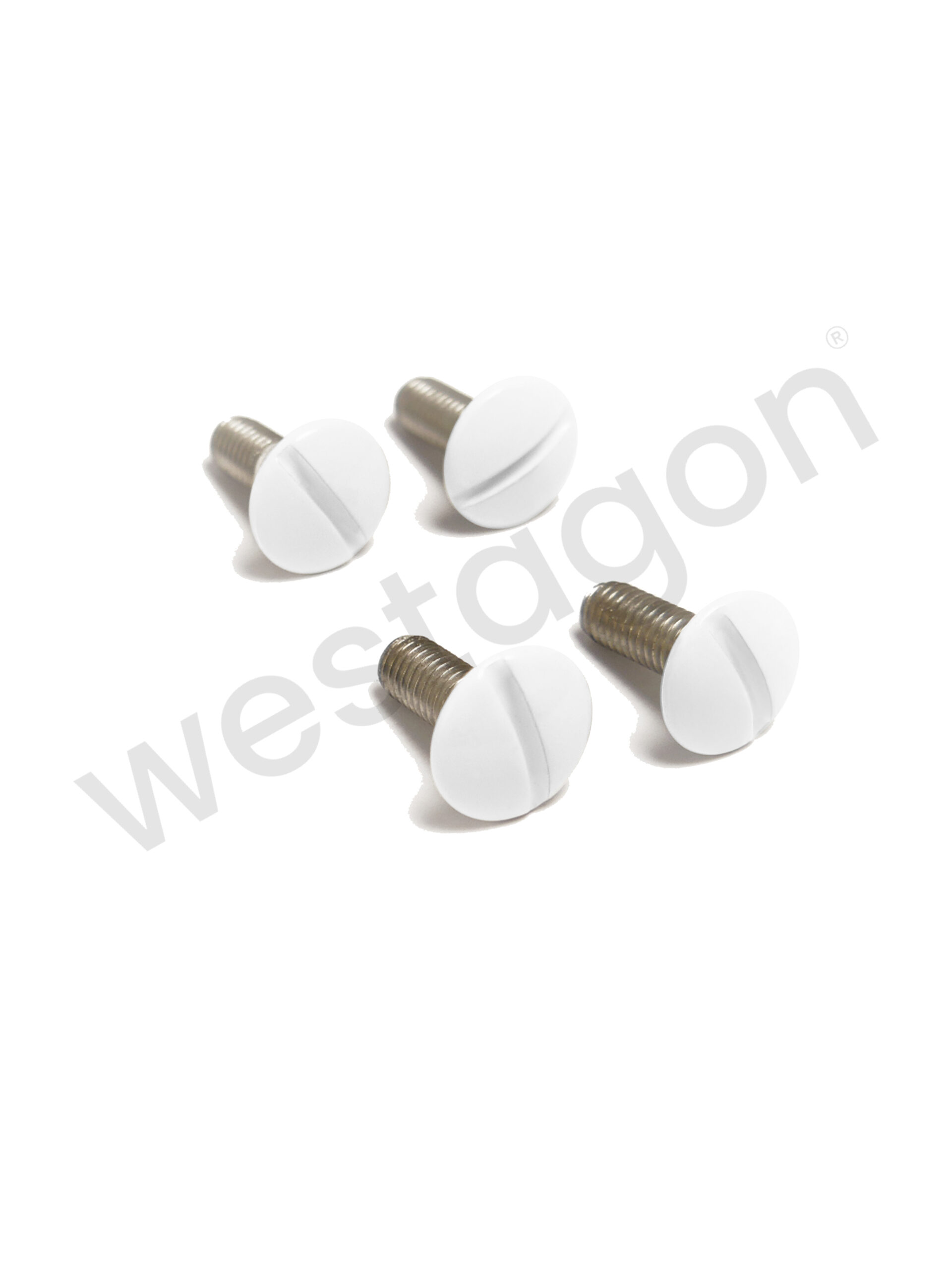 Set: Befestigungsschrauben Gepäckwanne (weiss) | <br>für VW T3 WESTFALIA