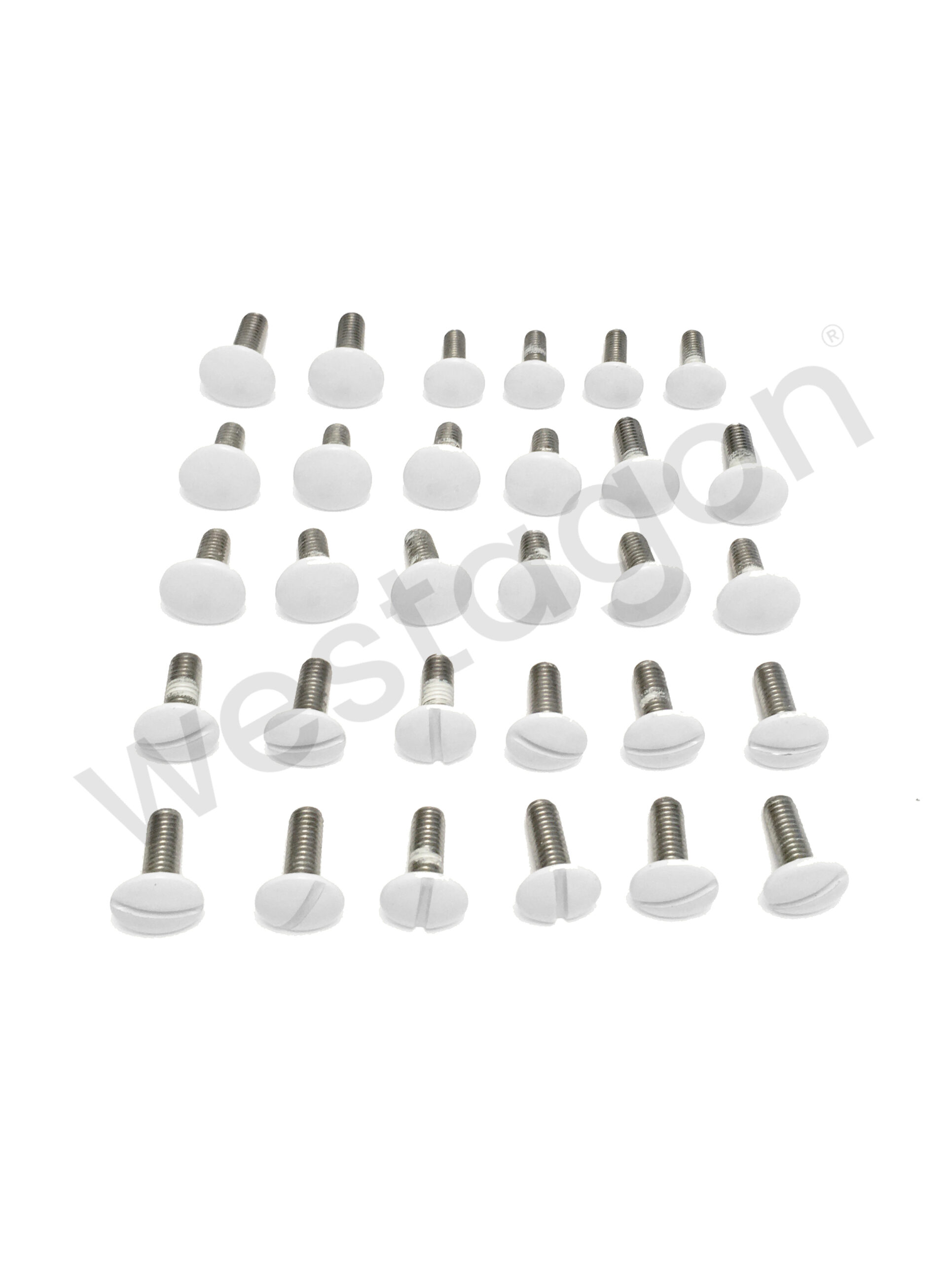 Set: Befestigungsschrauben Aufstelldach + Gepäckwanne (weiss) | <br>für VW T3 WESTFALIA – Bild 2